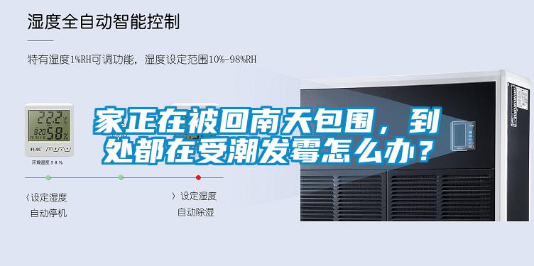 家正在被回南天包圍，到處都在受潮發(fā)霉怎么辦？