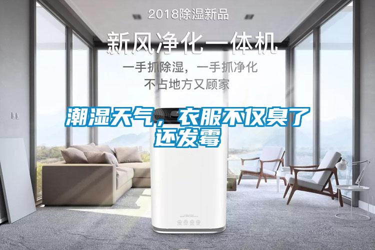 潮濕天氣，衣服不僅臭了還發(fā)霉