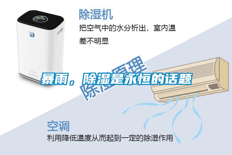 暴雨，除濕是永恒的話題