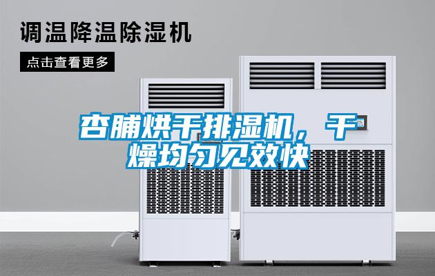 杏脯烘干排濕機，干燥均勻見效快