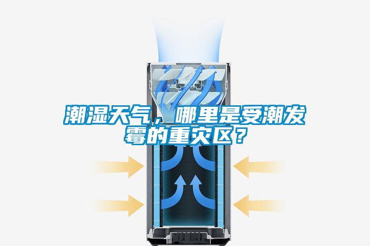潮濕天氣，哪里是受潮發(fā)霉的重災(zāi)區(qū)？