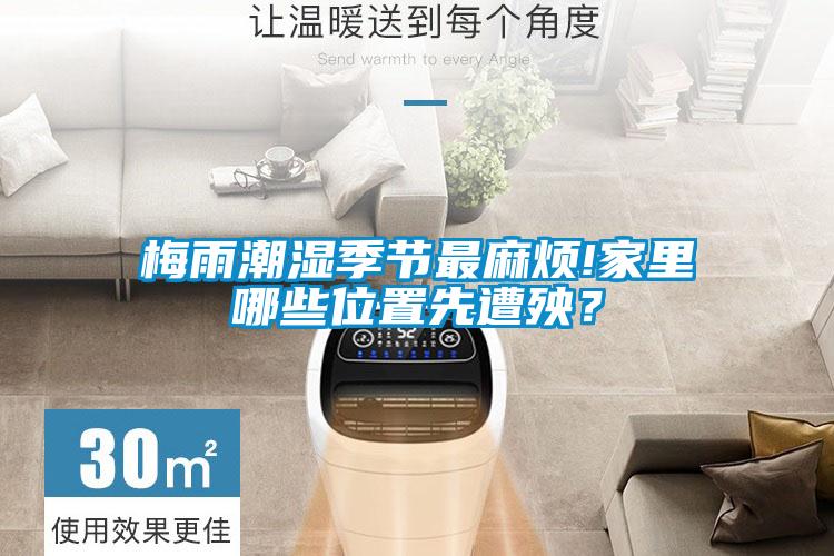 梅雨潮濕季節(jié)最麻煩!家里哪些位置先遭殃？