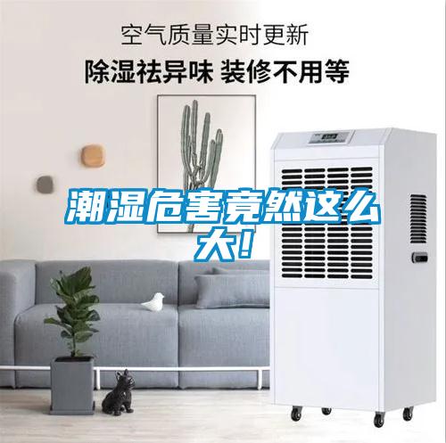 潮濕危害竟然這么大！