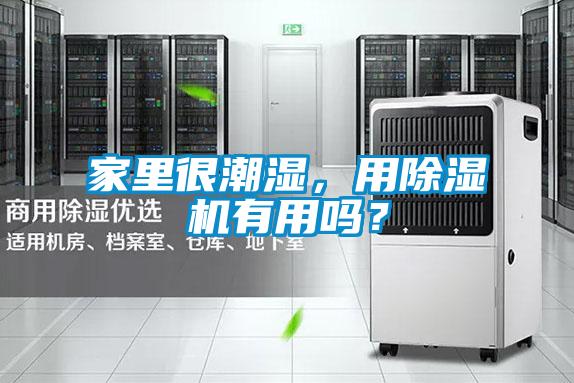 家里很潮濕，用除濕機(jī)有用嗎？