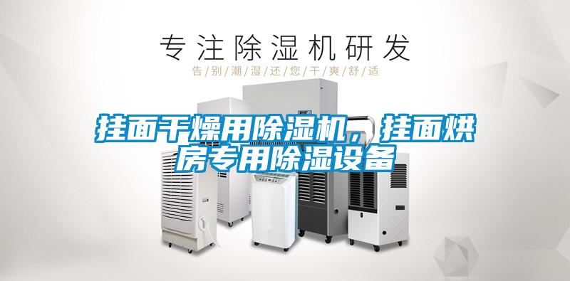 掛面干燥用除濕機，掛面烘房專用除濕設備