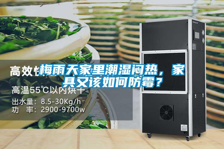 梅雨天家里潮濕悶熱，家具又該如何防霉？