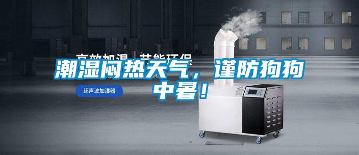 潮濕悶熱天氣，謹(jǐn)防狗狗中暑！