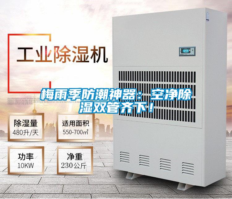 梅雨季防潮神器：空凈除濕雙管齊下！