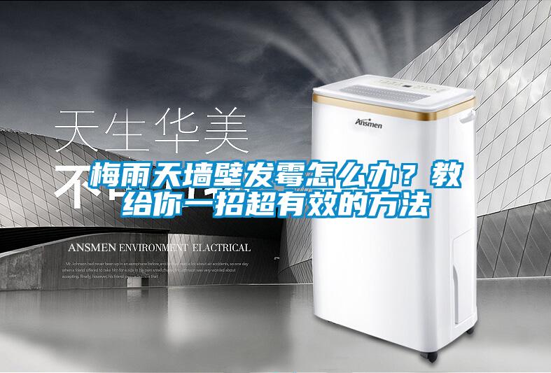 梅雨天墻壁發(fā)霉怎么辦？教給你一招超有效的方法