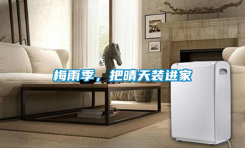 梅雨季，把晴天裝進家