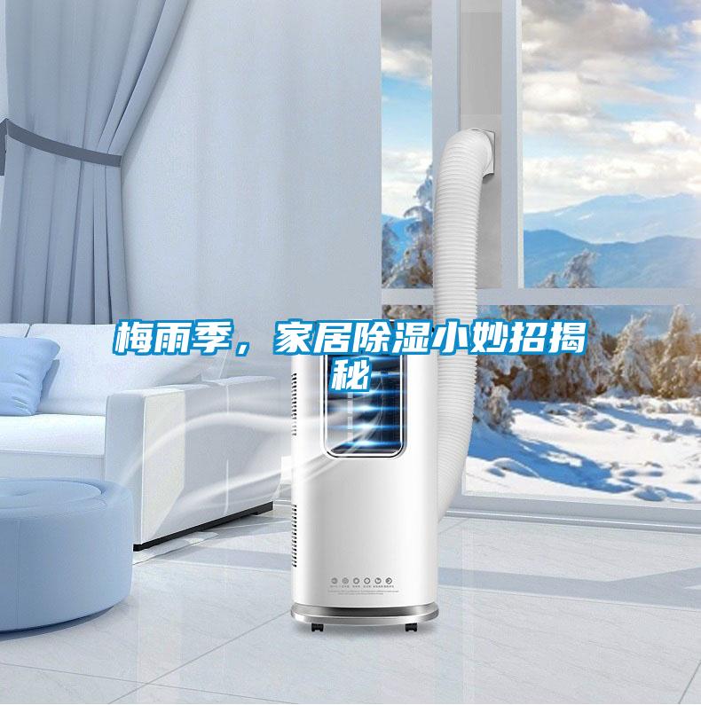 梅雨季，家居除濕小妙招揭秘
