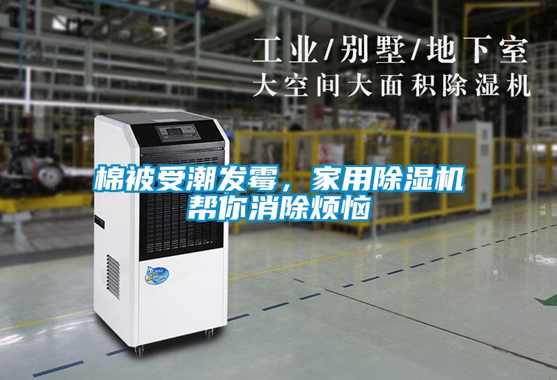 棉被受潮發(fā)霉，家用除濕機(jī)幫你消除煩惱