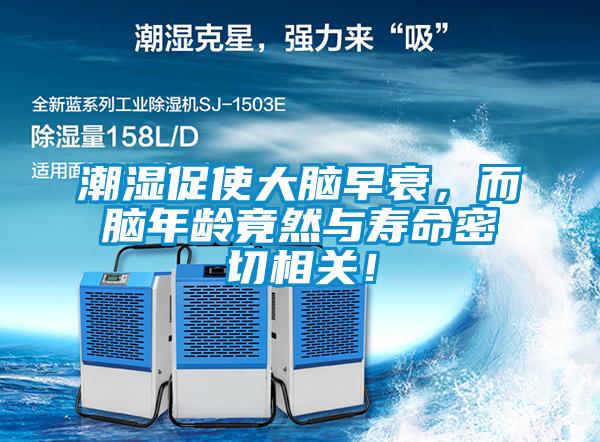 潮濕促使大腦早衰，而腦年齡竟然與壽命密切相關！