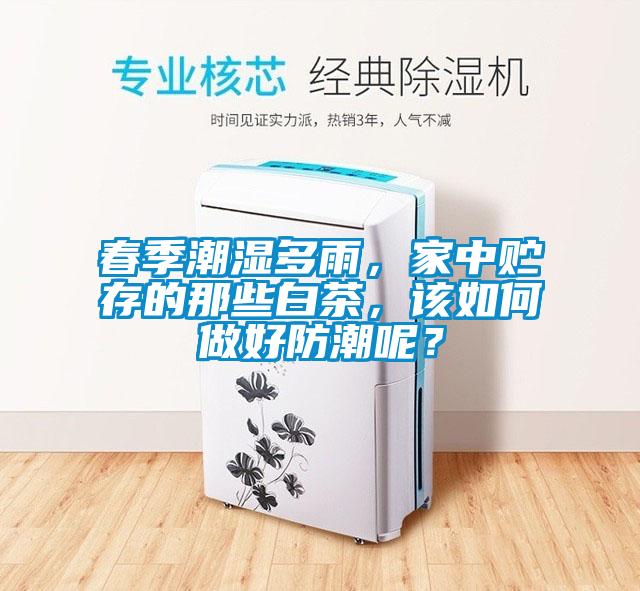 春季潮濕多雨，家中貯存的那些白茶，該如何做好防潮呢？
