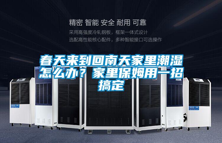 春天來(lái)到回南天家里潮濕怎么辦？家里保姆用一招搞定
