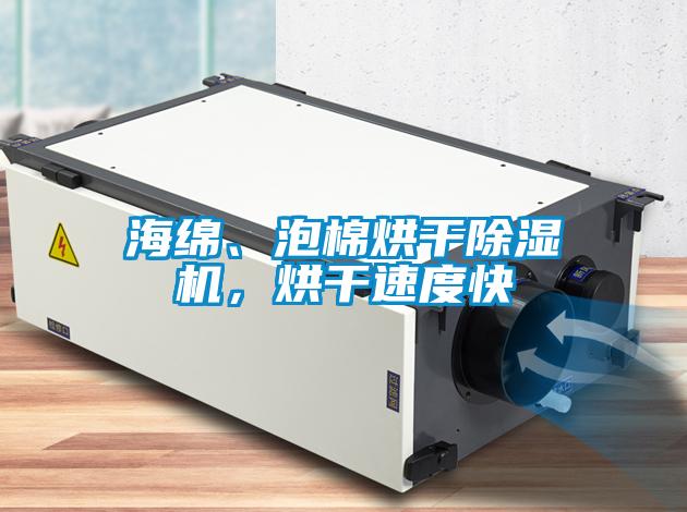 海綿、泡棉烘干除濕機(jī)，烘干速度快