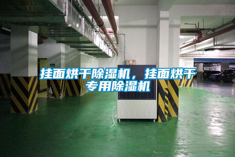 掛面烘干除濕機(jī)，掛面烘干專用除濕機(jī)