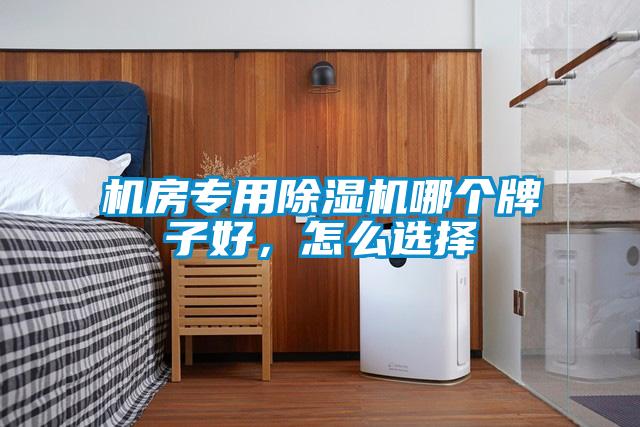 機(jī)房專用除濕機(jī)哪個(gè)牌子好，怎么選擇