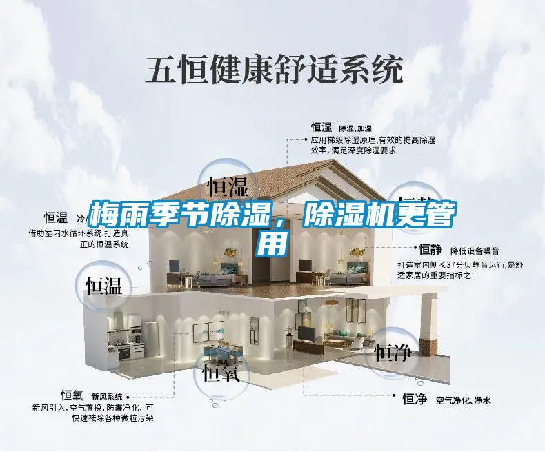 梅雨季節除濕，除濕機更管用