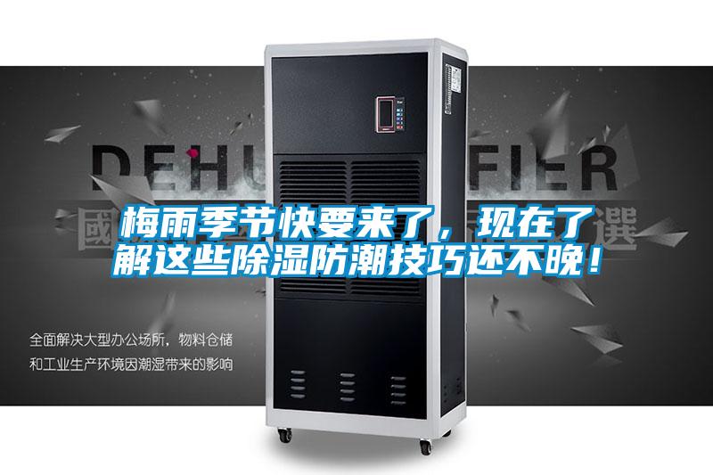 梅雨季節(jié)快要來了，現(xiàn)在了解這些除濕防潮技巧還不晚！