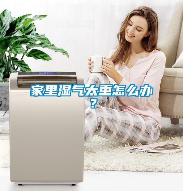 家里濕氣太重怎么辦？