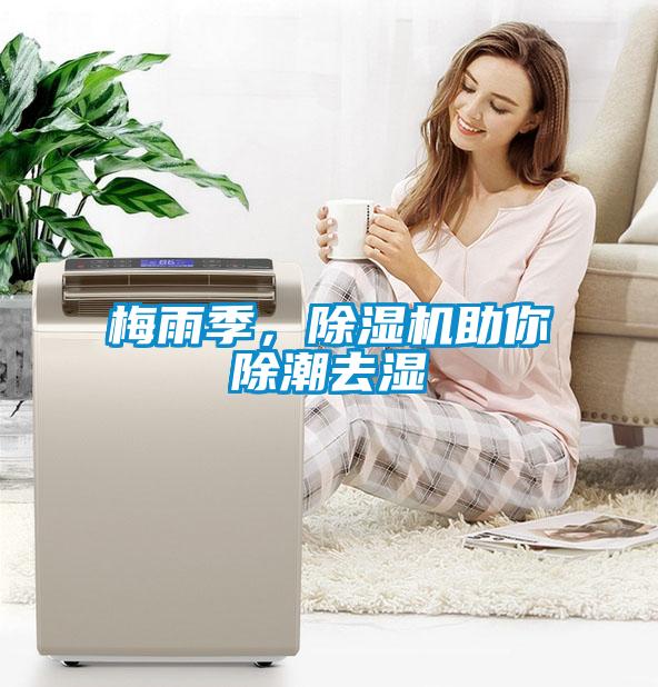 梅雨季，除濕機助你除潮去濕