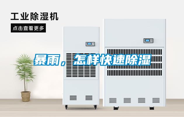 暴雨，怎樣快速除濕
