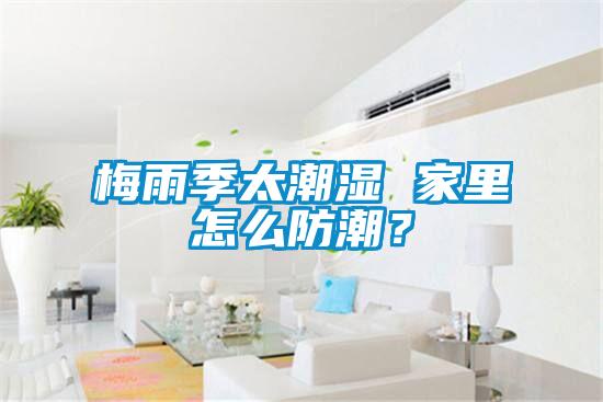 梅雨季太潮濕 家里怎么防潮？