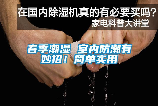 春季潮濕 室內(nèi)防潮有妙招！簡單實用
