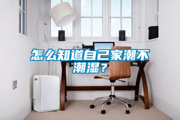 怎么知道自己家潮不潮濕？