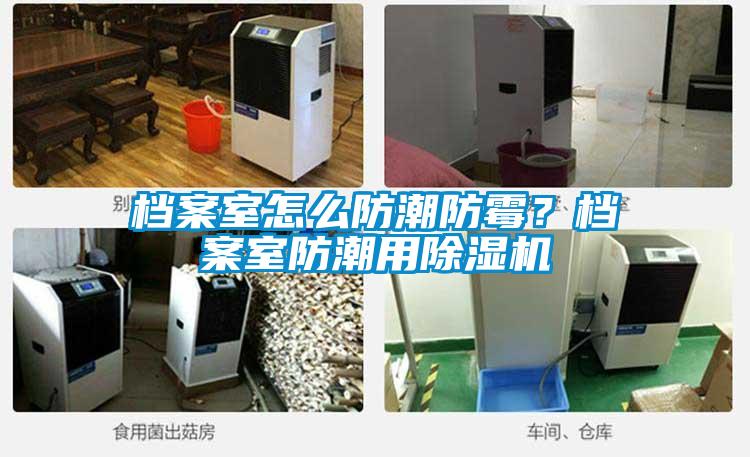 檔案室怎么防潮防霉？檔案室防潮用除濕機