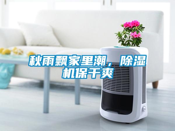 秋雨飄家里潮，除濕機保干爽