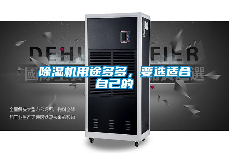 除濕機用途多多，要選適合自己的