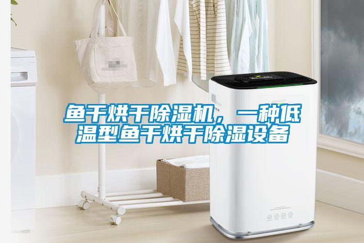 魚干烘干除濕機(jī)，一種低溫型魚干烘干除濕設(shè)備