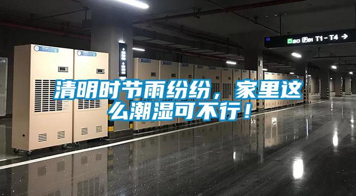 清明時節(jié)雨紛紛，家里這么潮濕可不行！