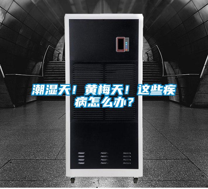 潮濕天！黃梅天！這些疾病怎么辦？