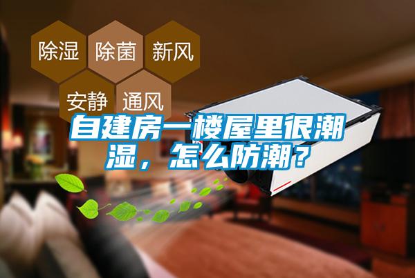 自建房一樓屋里很潮濕，怎么防潮？