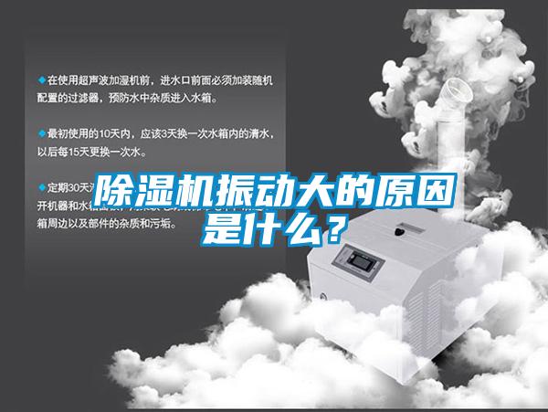 除濕機(jī)振動(dòng)大的原因是什么？