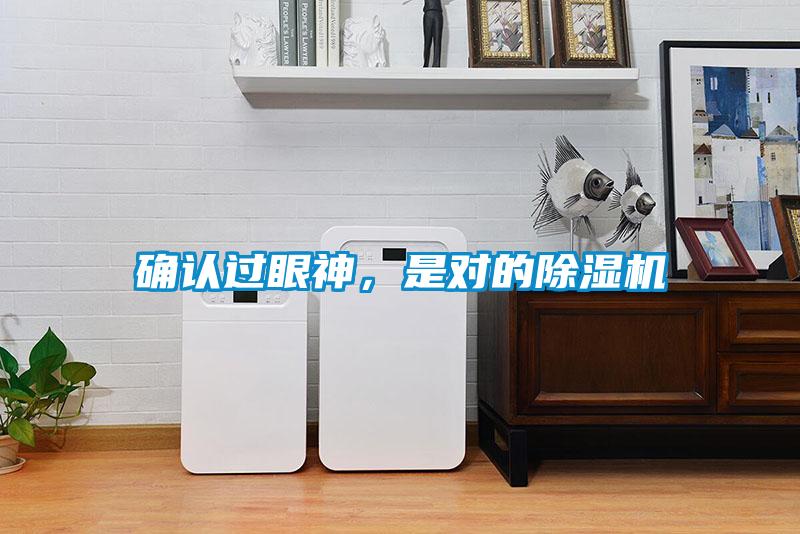 確認(rèn)過眼神，是對的除濕機(jī)