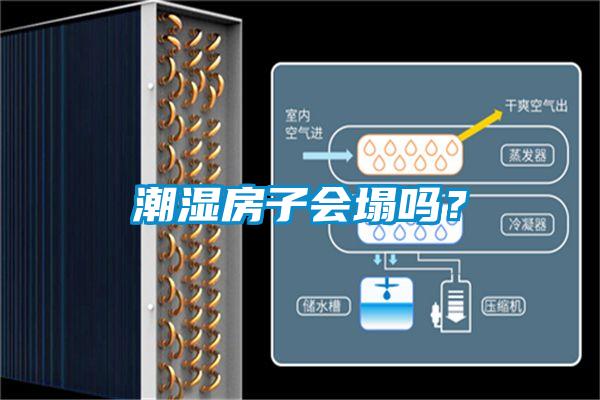 潮濕房子會塌嗎？