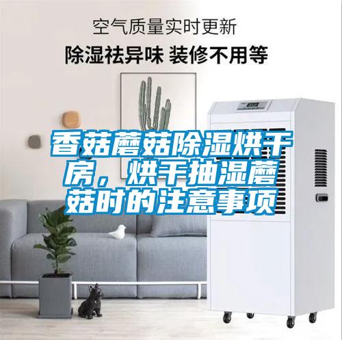 香菇蘑菇除濕烘干房，烘干抽濕蘑菇時的注意事項