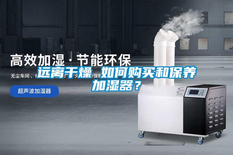 遠(yuǎn)離干燥 如何購買和保養(yǎng)加濕器？