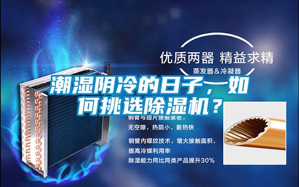 潮濕陰冷的日子，如何挑選除濕機(jī)？