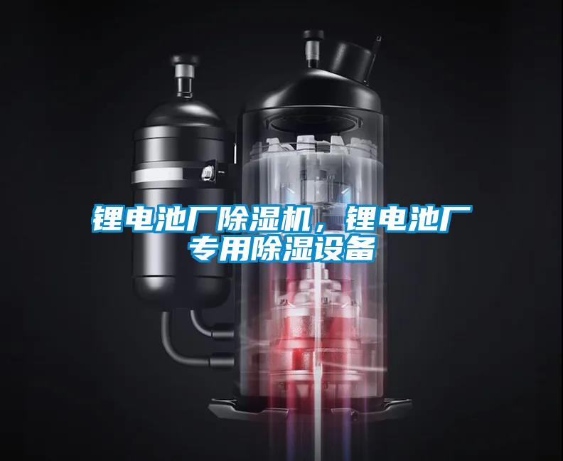 鋰電池廠除濕機(jī)，鋰電池廠專用除濕設(shè)備