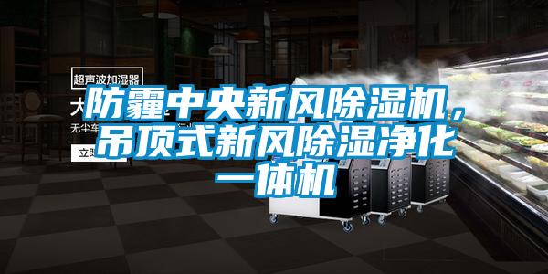 防霾中央新風除濕機，吊頂式新風除濕凈化一體機