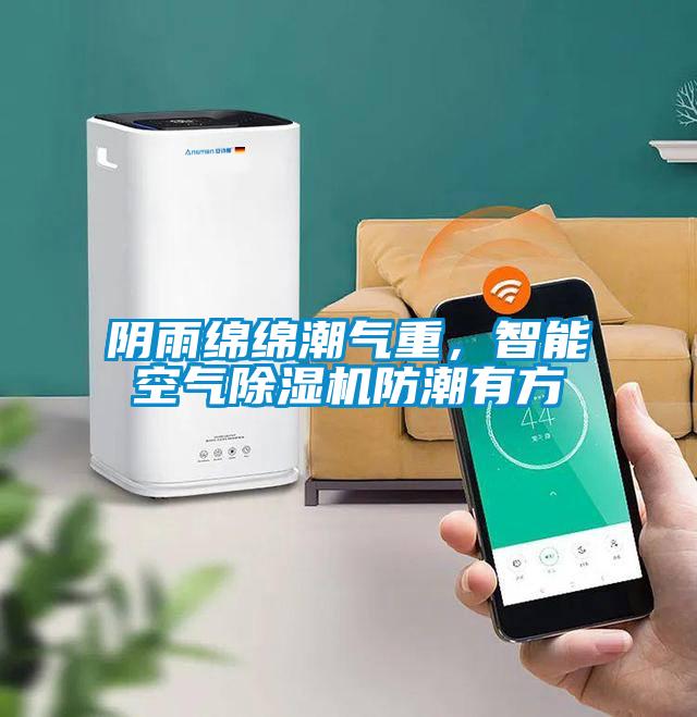 陰雨綿綿潮氣重，智能空氣除濕機防潮有方