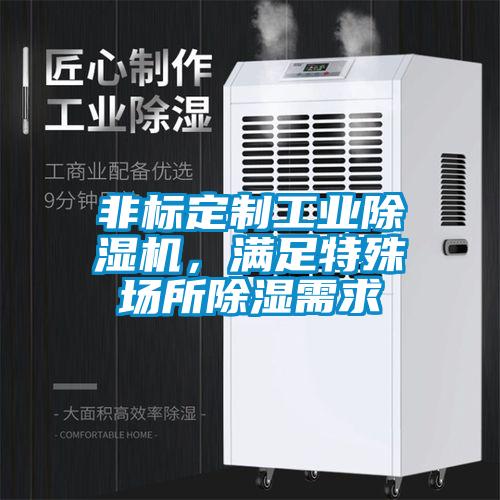 非標(biāo)定制工業(yè)除濕機(jī)，滿足特殊場所除濕需求