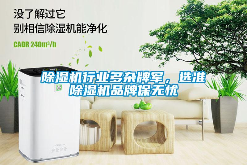 除濕機行業(yè)多雜牌軍，選準除濕機品牌保無憂