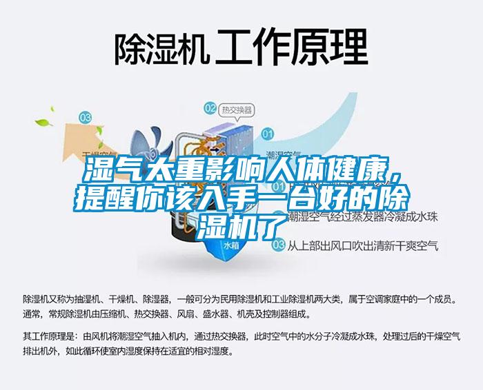 濕氣太重影響人體健康，提醒你該入手一臺(tái)好的除濕機(jī)了