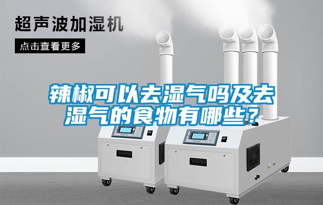 辣椒可以去濕氣嗎及去濕氣的食物有哪些？